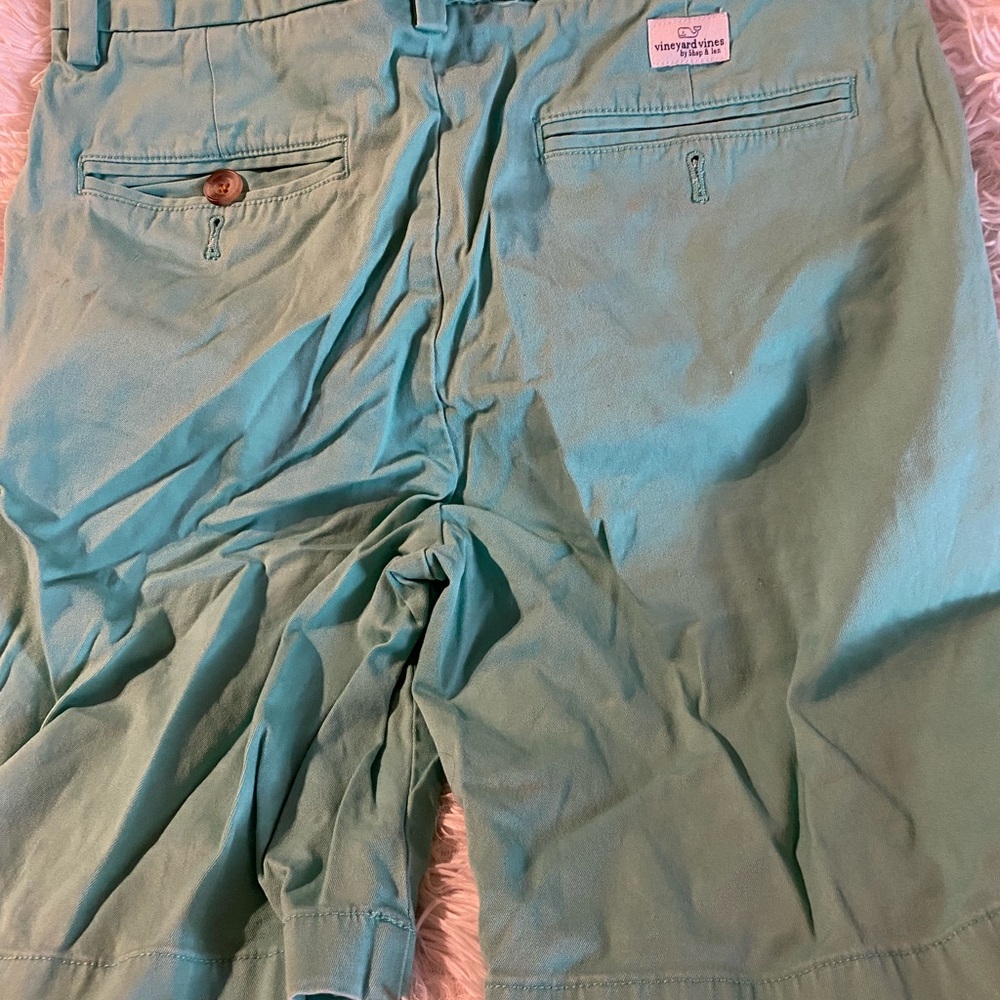 Vineyard Vines Mint Green Men's Shorts